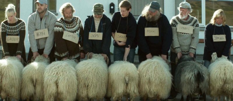 Rams: The Best Icelandic Sheep Farming Movie of The Year | Stand By For ...